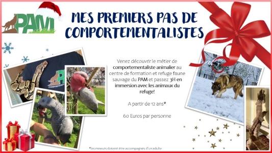 Feline canine educator animal behaviorist tarbes campuzan hautes pyrenees 65 france