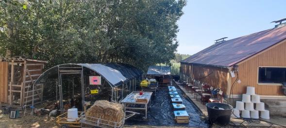 Ferme pedagogique mediation par l animal marseille aubagne aix en provence bouches du rhone