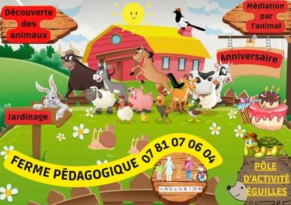 Ferme pedagogique mediation par l animal marseille aubagne aix en provence bouches du rhone 13