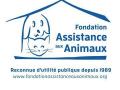 Fondation