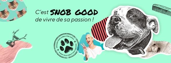 Formation acaced formation garde d animaux formation pet sitter marseille 13 bouches du rhone