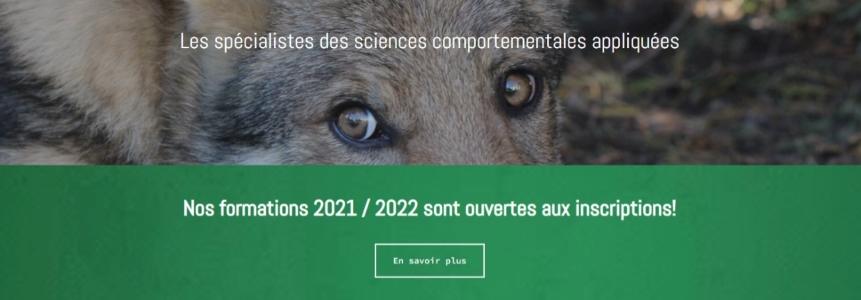 Formation animaliere education feline comportementalisme refuge animalier bordeaux gironde 33 france