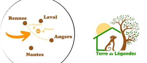 Formation chien categorie 2 rennes formation detention chien de defense ille et vilaine 35 1