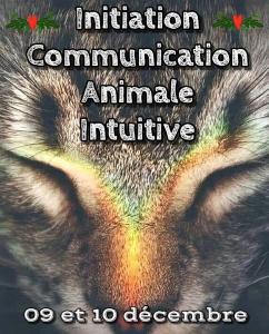 Formation communication animale la rochelle formation communicant animalier saintes 17 charente maritime