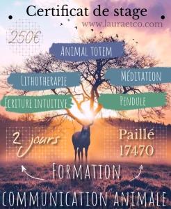 Formation communication animale la rochelle formation communicant animalier saintes charente maritime