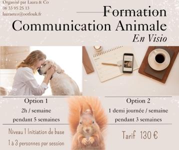 Formation communication animale la rochelle formation communicant animalier saintes charente maritime 17