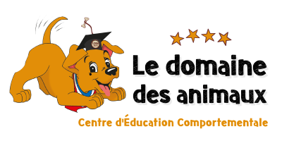 33 Formation éducateur canin - Bordeaux