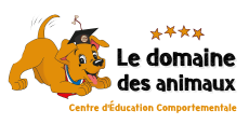 Formation educateur canin formation education canine bordeaux gironde 34