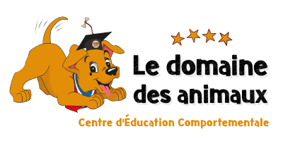 Formation educateur canin formation education canine bordeaux gironde 35