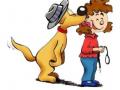 Formation educateur canin formation education canine formation dresseur de chien rouen seine maritime 76