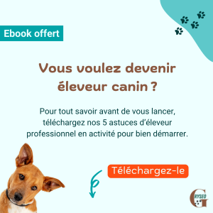 Formation eleveur canin formation elevage chien formation animaliere a distance arras lens 62 pas de calais