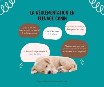 Formation eleveur canin formation elevage chien formation animaliere a distance arras lens 62 pas de calais