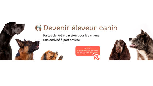 Formation eleveur canin formation elevage chien formation animaliere a distance arras lens pas de calais 64