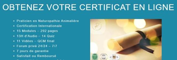 Formation naturopathe animalier a distance formation naturopathie animale en ligne france