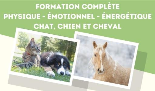 Formation naturopathe animalier formation naturopathie animale vichy moulins montlucon allier 03