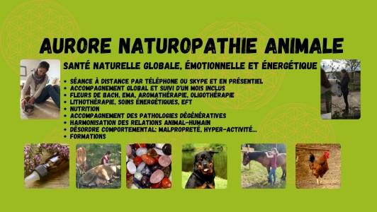 Formation naturopathe animalier formation naturopathie animale vichy moulins montlucon allier 03