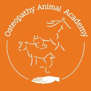 69 Feline canine equine animal osteopath training - Lyon