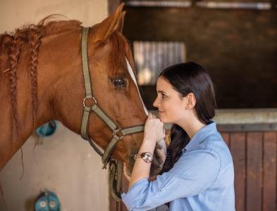 Formation osteopathe animalier lyon formation osteopathie animale rhone formation osteopathe equin canin felin 69