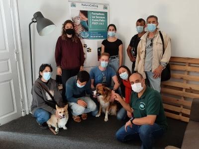 Formation premiers secours animaliers naturopathe animalier toulouse 31 haute garonne