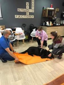 Formation premiers secours animaliers naturopathe animalier toulouse 31 haute garonne 1