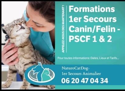 Formation premiers secours animaliers naturopathe animalier toulouse 31 haute garonne