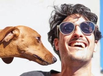 Formation premiers secours canins felins bordeaux formation premiers secours animaliers gironde formation animaliere france 3