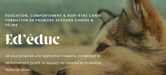 Formation premiers secours canins felins bordeaux formation premiers secours animaliers gironde formation animaliere france