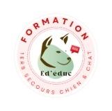 33 Formation Premiers Secours Animaliers (Canins & Félins) - Bordeaux