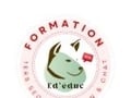 Formation premiers secours canins felins bordeaux formation premiers secours animaliers gironde formation animaliere france