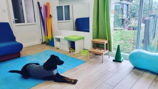 Formation reiki animalier bourg en bresse formation communication animale ain