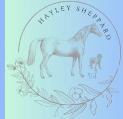 51 Animal Reiki Training - Reims Châlons-en-Champagne