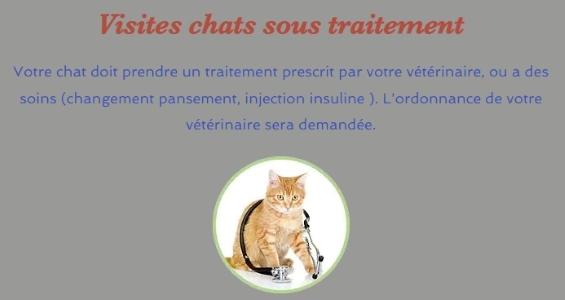 Garde d animaux bourg en bresse garde de chat ain pension feline 01