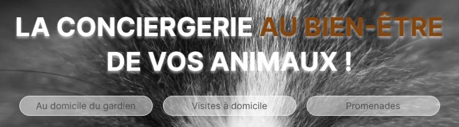 Garde d animaux chien chat nac garde animaux particulier pet sitter dog sitter cat sitter nice alpes maritimes 06