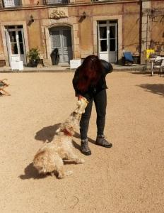 Garde d animaux chien chat nac promeneur de chien le puy en velay 43 haute loire