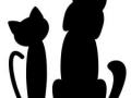 Garde d animaux evry pension canine corbeil essonnes garde de chat essonne 91