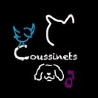 94 Garde d'animaux & Pet Sitter - Créteil Sucy-en-Brie