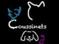 Garde d animaux garde de chat cat sitter garde de chien dog sitter promenade de chien sucy en brie creteil val de marne 94 