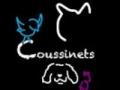 Garde d animaux garde de chat cat sitter garde de chien dog sitter promenade de chien vincennes saint mande val de marne 94 
