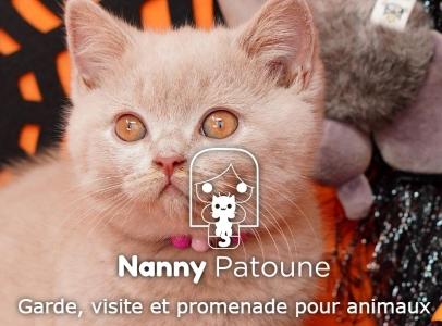 Garde d animaux garde de chien garde de chat garde de nac pension canine feline noisy le grand seine saint denis 93