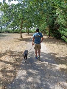 Garde d animaux garde de chien garde de chat garde de nac pet sitter dog walker nantes loire atlantique 46