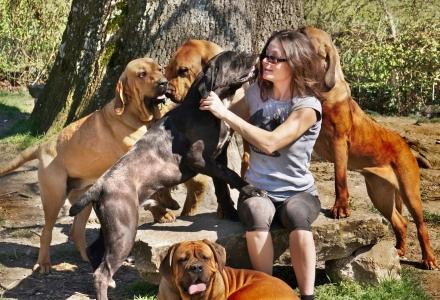 Garde d animaux garde de chien garde de chat pension canine pet sitter pau orthez 64 pyrenees atlantiques