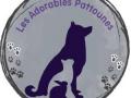 Garde d animaux garde de chien promeneur de chien garde de chat saint etienne saint chamond loire 42 