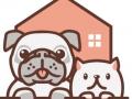 Garde d animaux la rochefoucauld garde chien chat nac charente 16
