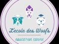 Garde d animaux mont de marsan garde de chien dax promeneur de chien landes 40