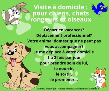 Garde d animaux rennes garde de chien fougeres garde de chat ille et vilaine pension canine 35 1