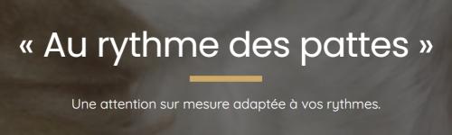 Garde d animaux vienne garde chien isere garde de chat 38 garde de nac