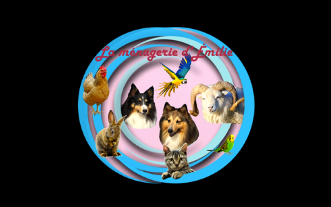 41 Animal guard & Pet Sitter - Blois Montrichard