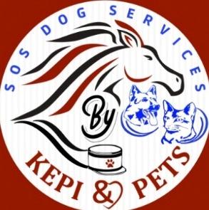13 Garde d'animaux & Pet Sitter - Marseille