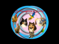 Garde de chien orleans garde de chat loiret pension nac 45 
