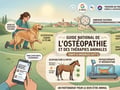 Guide osteopathie animale osteopathe animalier acupuncteur animaux physiotherapie animale veterinaire osteopathe